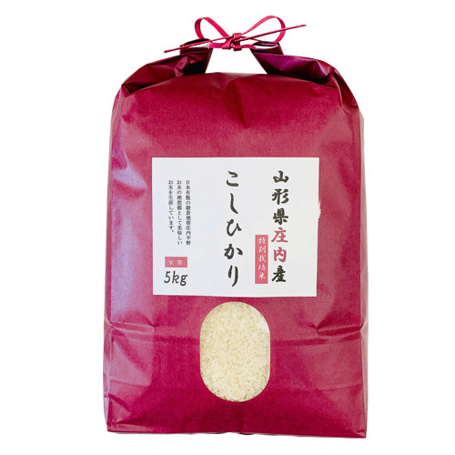 令和元年産 山形県庄内産 特別栽培米「こしひかり」5kg【白米】
