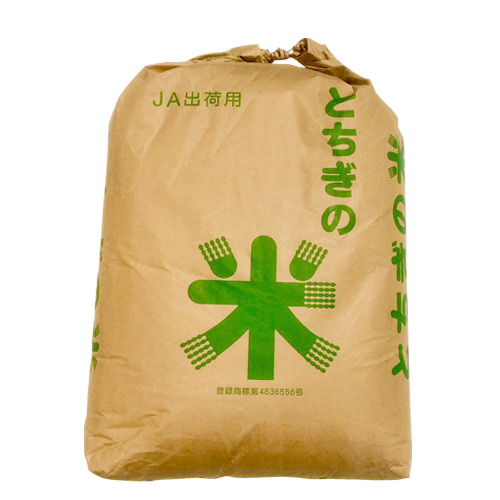 令和4年産　栃木県さくら市産こしひかり24kg【玄米】