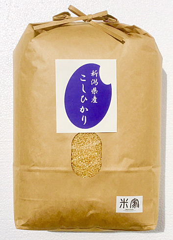 令和4年産　新潟県産コシヒカリ10kg【玄米】