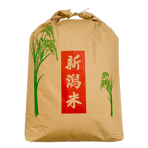 令和5年産　新潟県産コシヒカリ24kg【玄米】