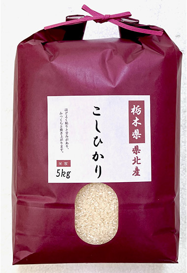 令和7年産 栃木県県北産こしひかり5kg【白米】