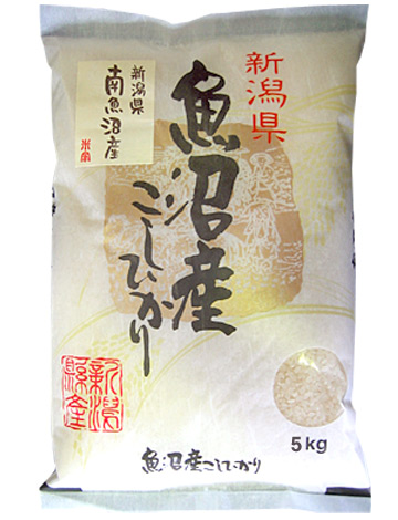 令和7年産 新潟県南魚沼産こしひかり5kg【白米】