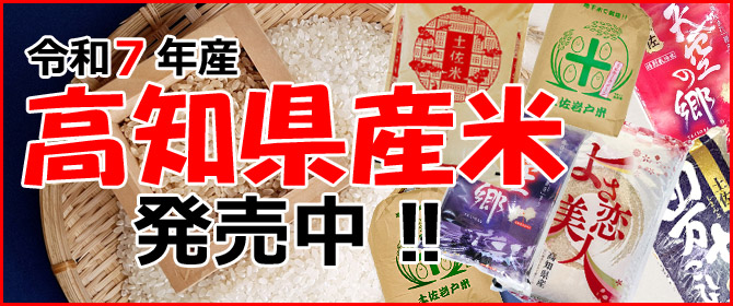 R7���m���Y�āu�y���̂��Ĕ̔����v