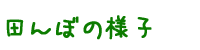 �c��ڂ̗l�q